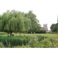 Waltham Abbey Gardens