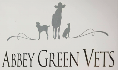 Abbey Green Vets