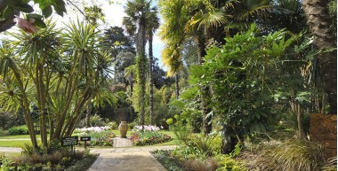 Abbotsbury Subtropical Gardens