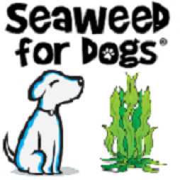 Seaweed For Dogs