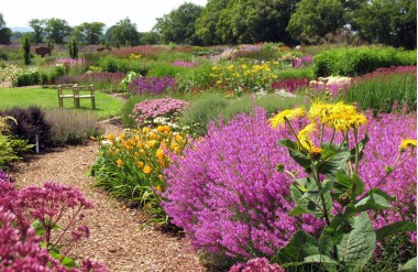 Sussex Prairies Garden
