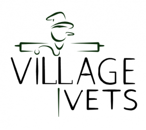 Village Vets 