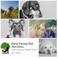 New Forest Pet Services 