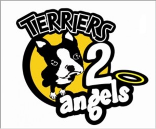 Terriers 2 Angels