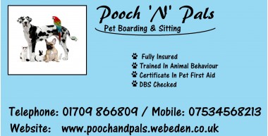 Pooch 'n' Pals Pet Boarding & Sitting