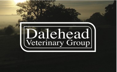 Dalehead Veterinary Group 