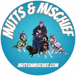 Mutts & Mischief