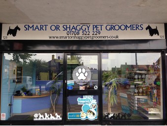 Smart or Shaggy Pet Groomers