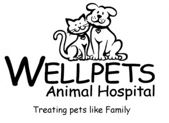 Wellpets Animal Hospital - Sheerness