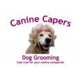 Canine Capers