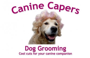 Canine Capers