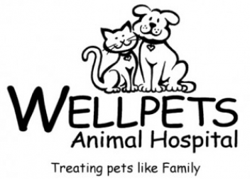 Wellpets Animal Hospital - Weston-Super-Mare
