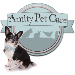 Amity Pet Care