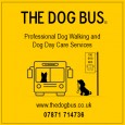 The Dog Bus